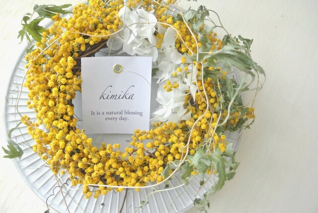 シンプルな花のwreath-mimosa-の画像1枚目