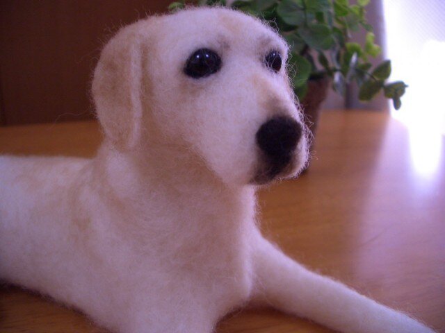 羊毛フェルト　ラブラドールレトリーバー 羊毛フェルトラブラドールレトリーバー