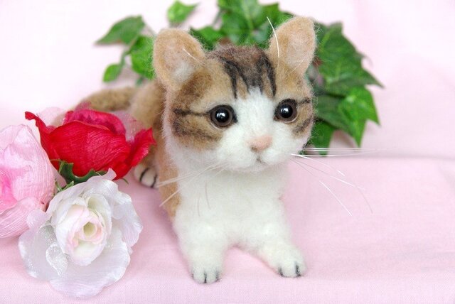 可愛い子猫ちゃんの画像1枚目