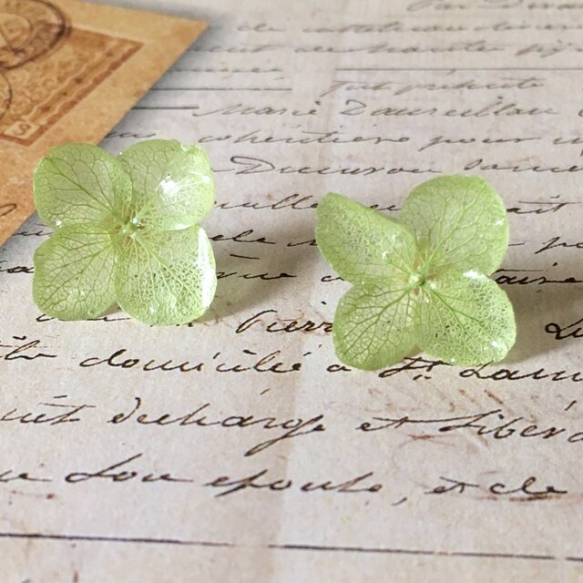 ひとひら紫陽花ピアス*ペリドット*PC004の画像1枚目