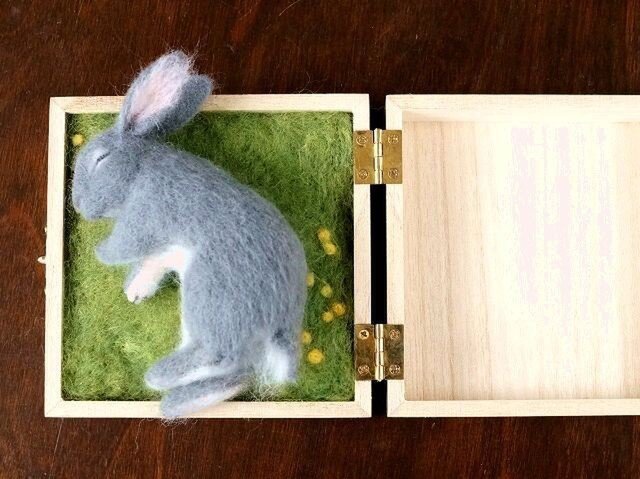 箱の中でおやすみの画像1枚目