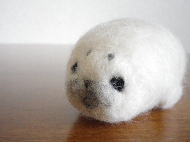 あざらしさんの画像1枚目