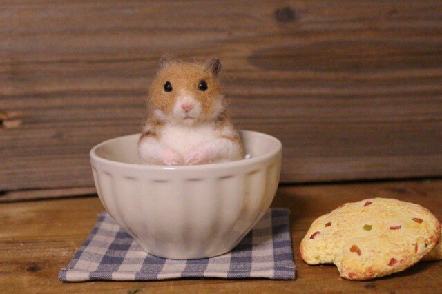 cup in ハムスター**の画像1枚目