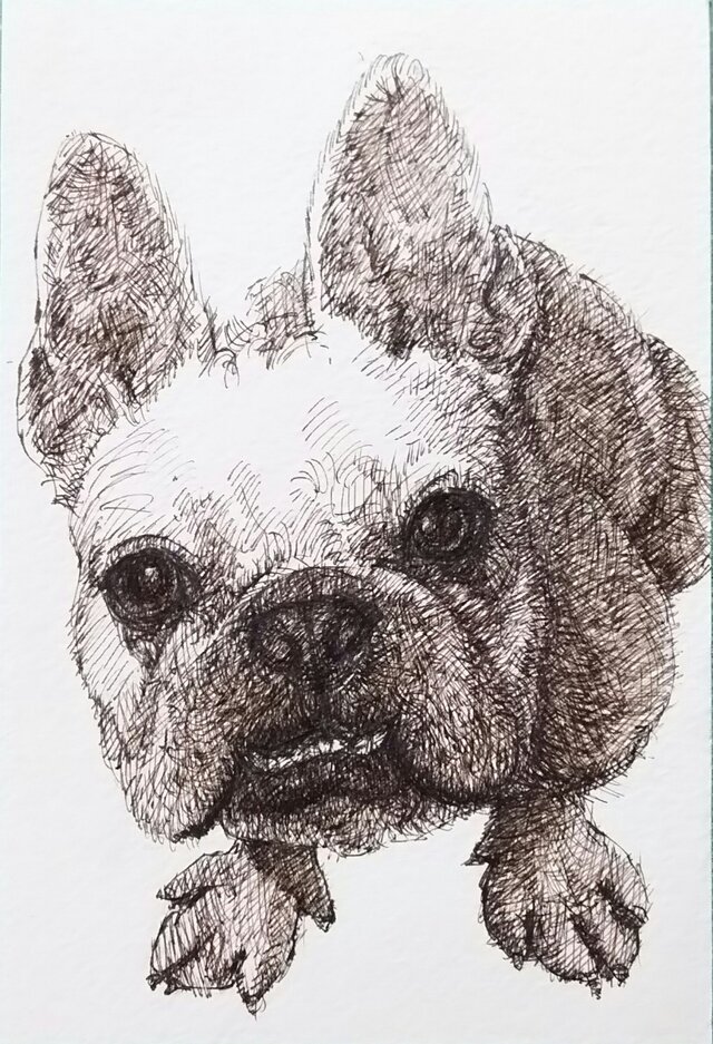 オーダー*ペン画*ポストカード*プレゼントに♪の画像1枚目