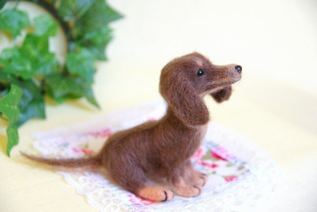 ★【ダックスフント チョコ タン 犬】の画像1枚目