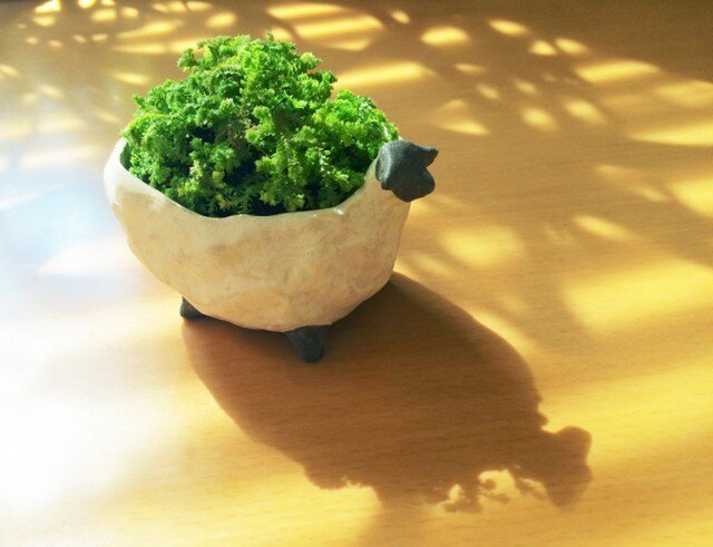 もりひつじの画像1枚目