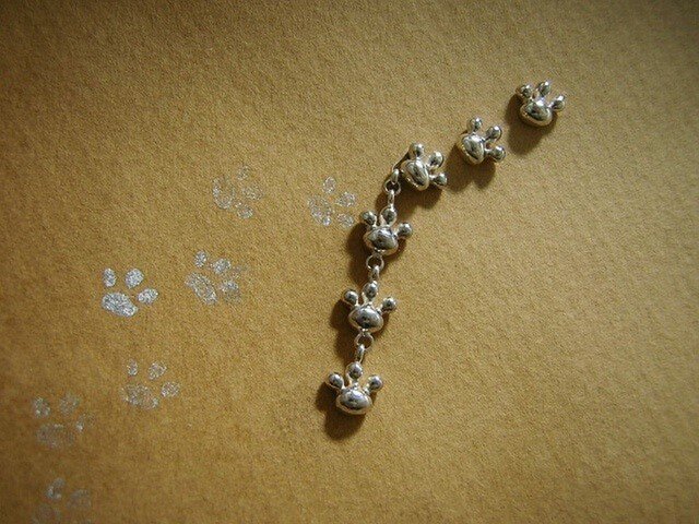 comewithmeow 6poの画像1枚目