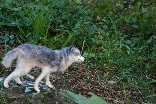 羊毛フェルト オオカミ | iichi 日々の暮らしを心地よくする 