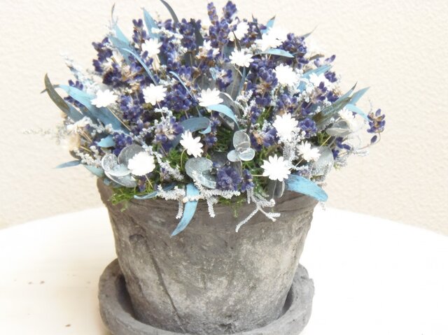 ラベンダーのお花畑の画像1枚目