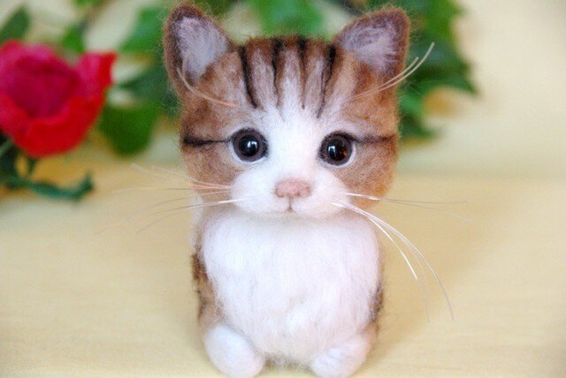 【香箱座り】 まったり猫ちゃん 2の画像1枚目