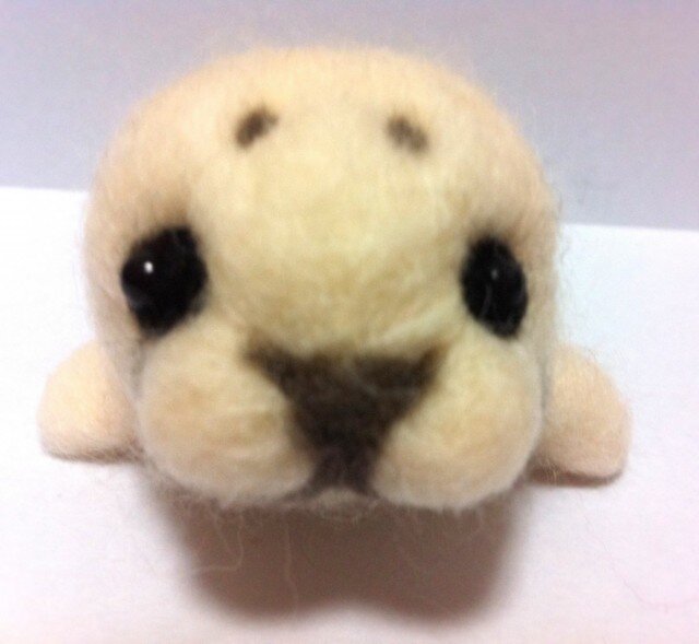 アザラシの赤ちゃんの画像1枚目