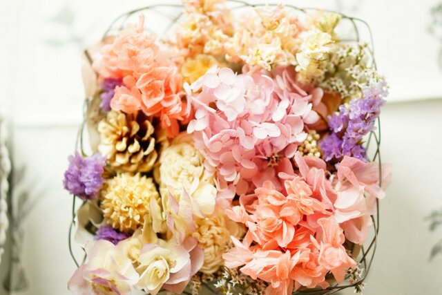 春色 arrangementの画像1枚目