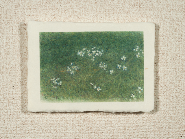 はがきノーマル A1-435の画像1枚目