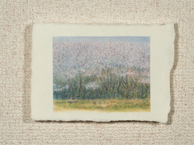 はがきノーマル A1-064の画像1枚目