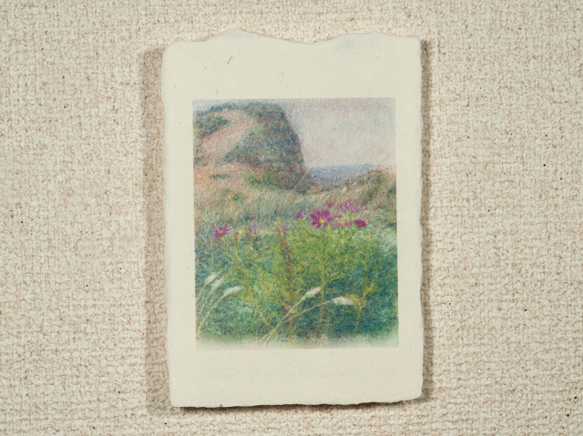はがきノーマル A1-550の画像1枚目