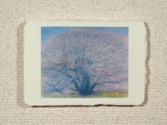 はがきノーマル A1-019の画像1枚目
