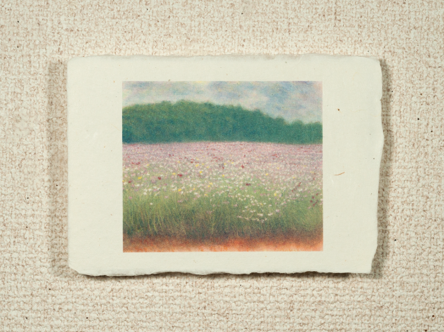 はがきノーマル A1-527の画像1枚目