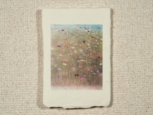 はがきノーマル A1-555の画像1枚目