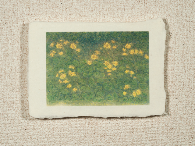 はがきノーマル A1-043の画像1枚目