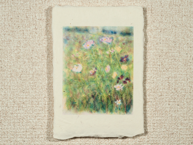 はがきノーマル A1-230の画像1枚目