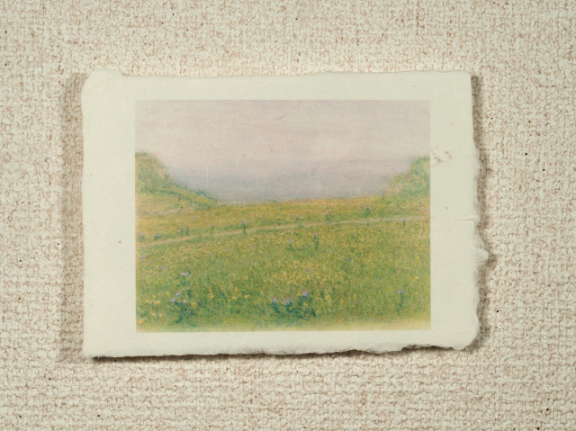はがきノーマル A1-554の画像1枚目