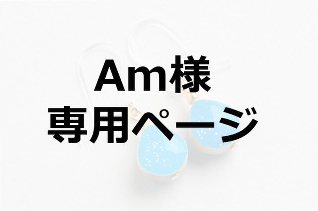 Am様専用ページの画像1枚目