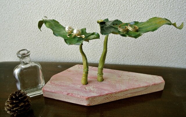 ATOSシリーズ グリーンオアシスのプレート ミニ観葉植物の画像1枚目