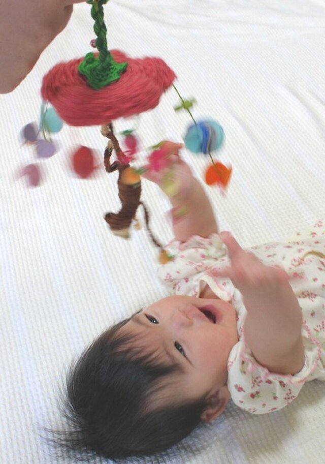 手回しメリー(baby)の画像1枚目