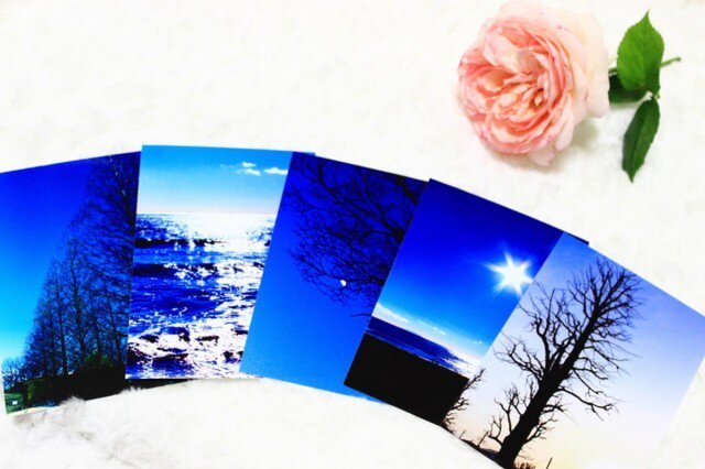 選べる写真セット1の画像1枚目