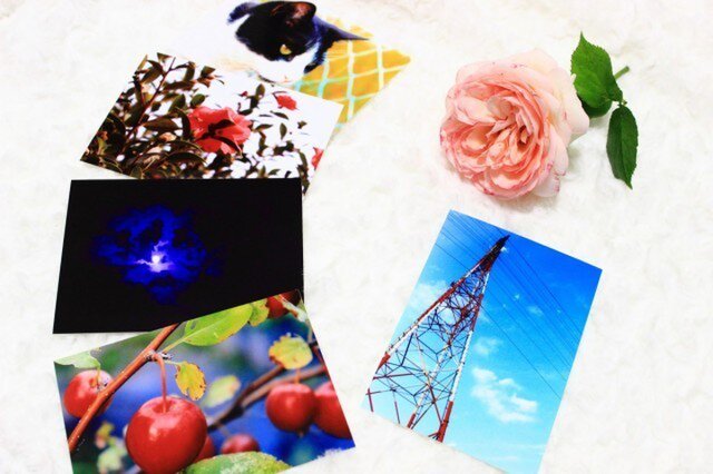 選べる写真セット2の画像1枚目