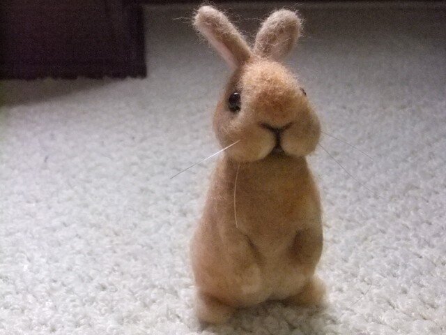 たち耳うさぎ オレンジカラーの画像1枚目