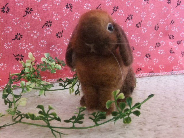 たれ耳うさぎ お座り 1の画像1枚目