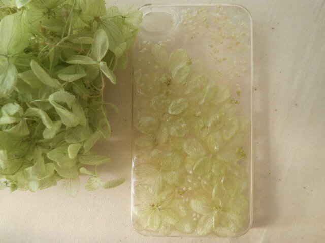 iPhone4,4Sケース 【リアルフラワー】あじさい緑の画像1枚目
