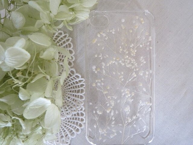 iPhone4,4Sケース【リアルフラワー】かすみ草白の画像1枚目