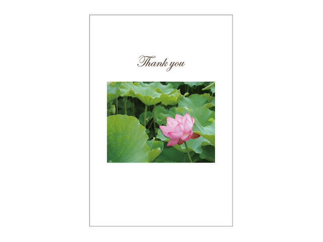 蓮の花のお礼状はがき Iichi ハンドメイド クラフト作品 手仕事品の通販