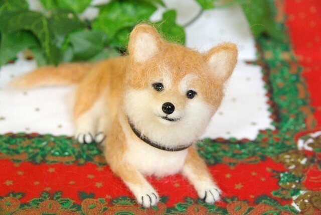 ★【かわいい柴犬】皮の首輪付きの画像1枚目