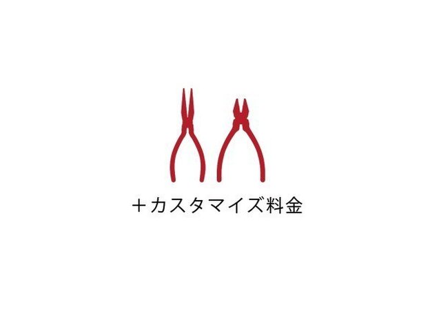 【オプション】+カスタマイズ料金の画像1枚目