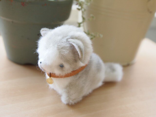 ちいさなぬいぐるみ青い瞳のハスキー子犬 | iichi 日々の暮らしを