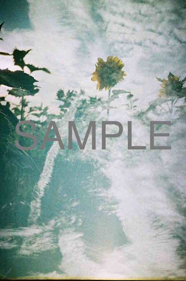 アートパネル「dream of summer」の画像1枚目