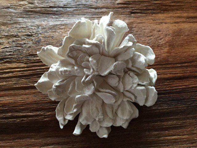 革花のカブトピン 2L 金具6cm 白の画像1枚目