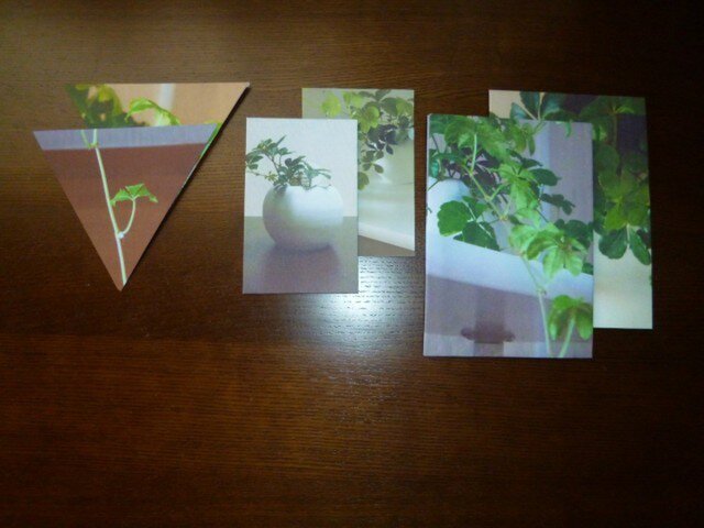 封筒6点~つる~の画像1枚目