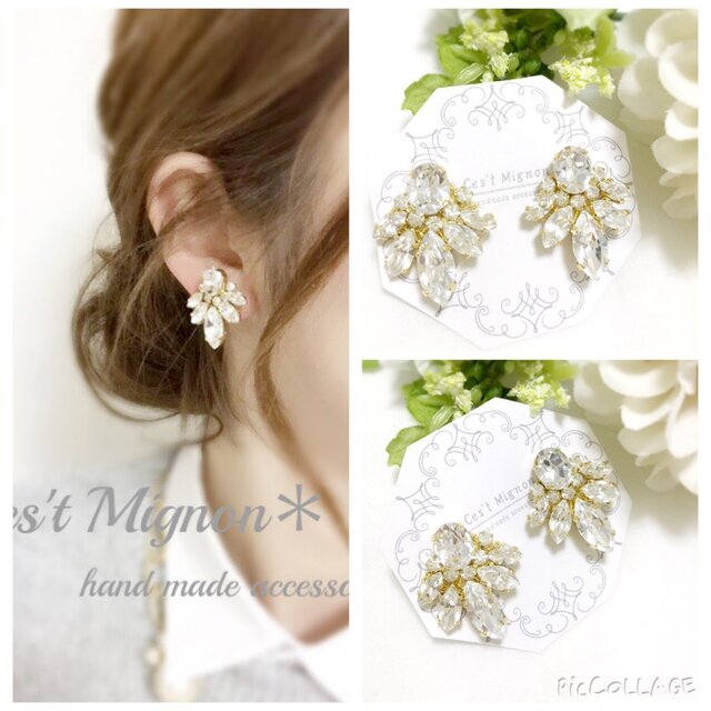 big swaro *ear accessory*の画像1枚目