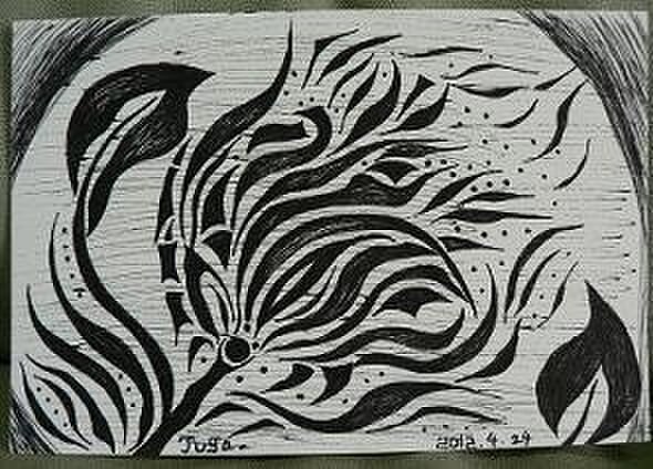 ・黒華・の画像1枚目