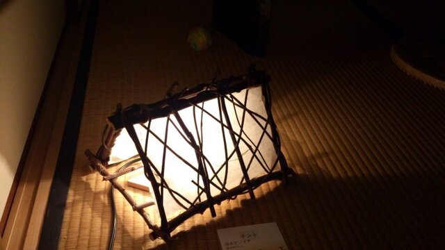 夜の木漏れ日の画像1枚目