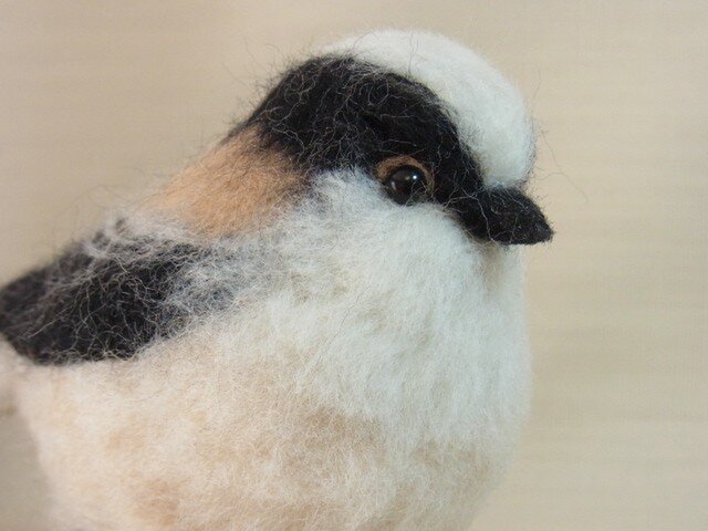 【売約済み】エナガ 5号の画像1枚目
