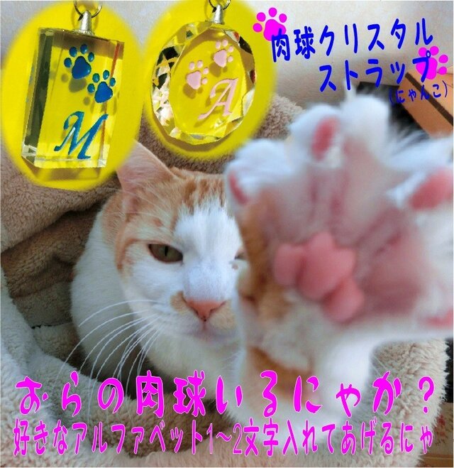 猫 犬 肉球 イニシャル 入り ストラップ(化粧箱付)(送料無料)の画像1枚目