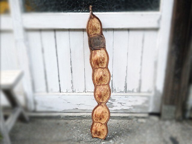 モダマ（鞘） | iichi 日々の暮らしを心地よくするハンドメイドや