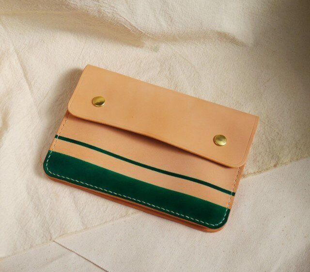 case 1 green lineの画像1枚目