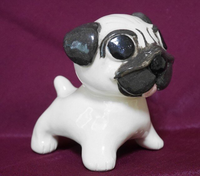 犬(パグ)の画像1枚目