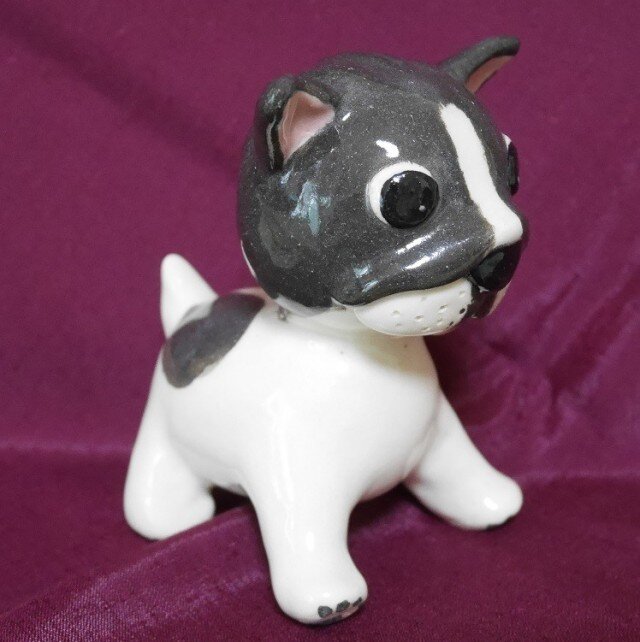 犬(フレンチブルドッグ)の画像1枚目